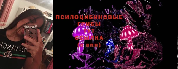трава Верея