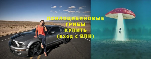 мдпв Бронницы