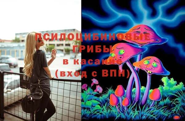 трава Верея