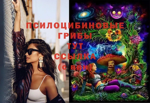 мдпв Бронницы