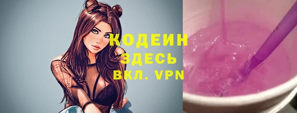 индика Бугульма