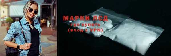 индика Бугульма