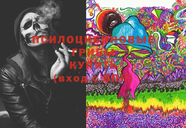 мдпв Бронницы
