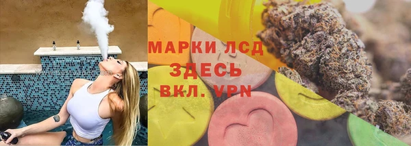 индика Бугульма