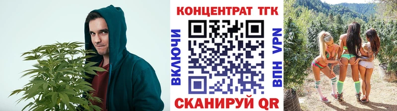 где купить наркоту  маркетплейс состав  ТГК вейп  Новосокольники  omg ONION 