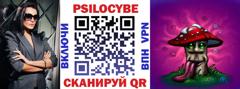 наркотики  Новосокольники  Псилоцибиновые грибы Psilocybe 